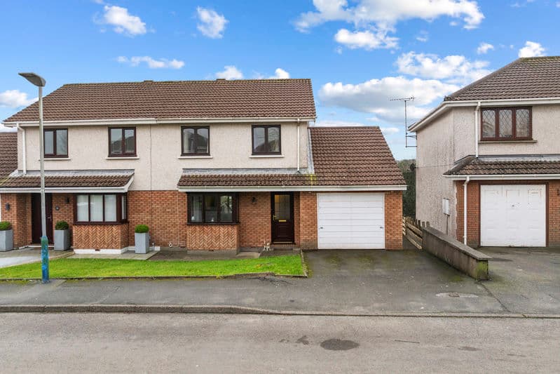 31 Meadow Crescent, Douglas — photo 1